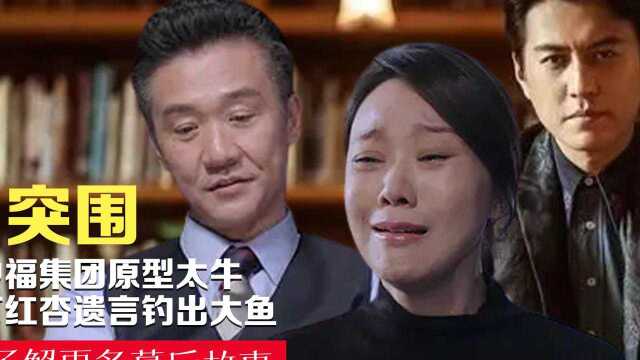 1817突围:中福集团原型太给力!石红杏遗言曝光,揭开林满江的遮羞布