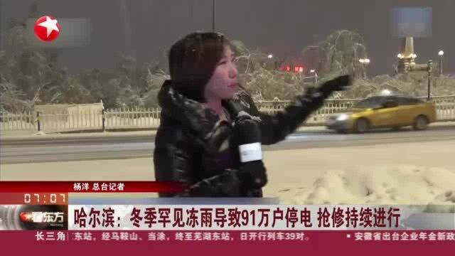 哈尔滨:冬季罕见冻雨导致91万户停电 抢修持续进行——高铁接触网紧急除冰 58趟列车停运