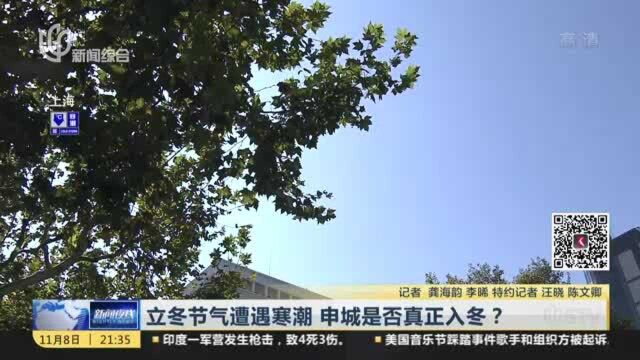 立冬节气遭遇寒潮 申城是否真正入冬?