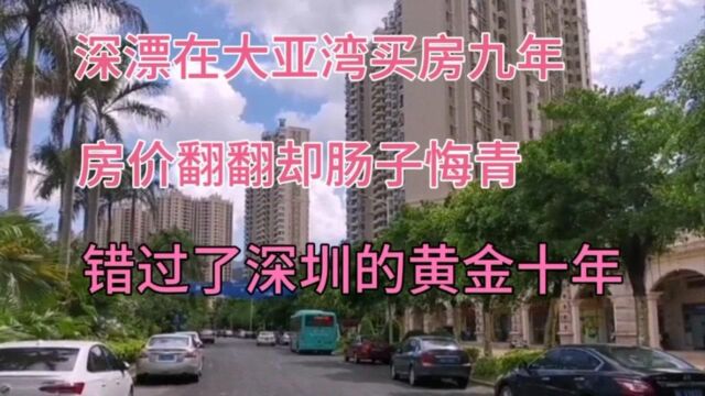 深漂在大亚湾买房9年,房价翻倍却肠子悔青,买深圳已是千万富翁