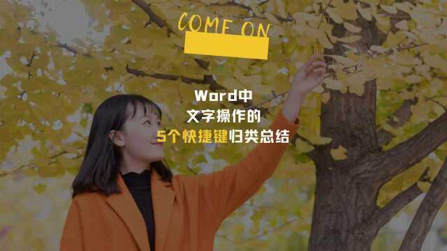 Word中文字的快捷键的归类总结