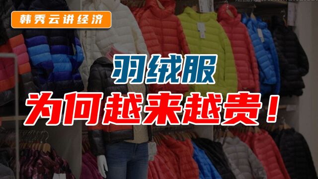 羽绒服万元一件上热搜,羽绒服价格为何越来越贵?答案来了!