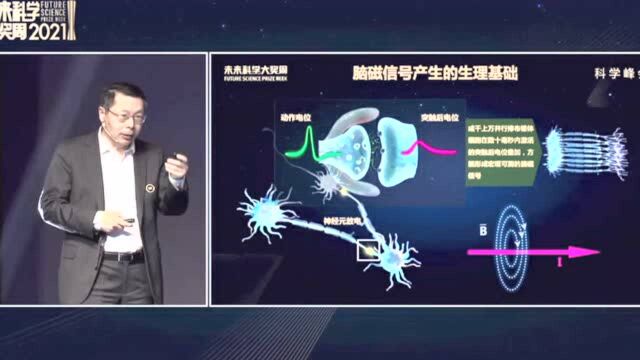 高家红:研究脑磁探测技术解密神经系统疾病