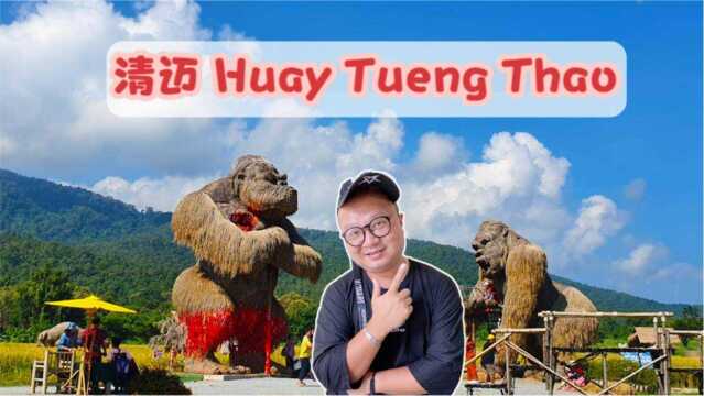 清迈鲜为人知的绝佳好去处Huay Tueng Thao