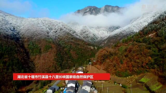 湖北十八里长峡:半山皑皑半山红