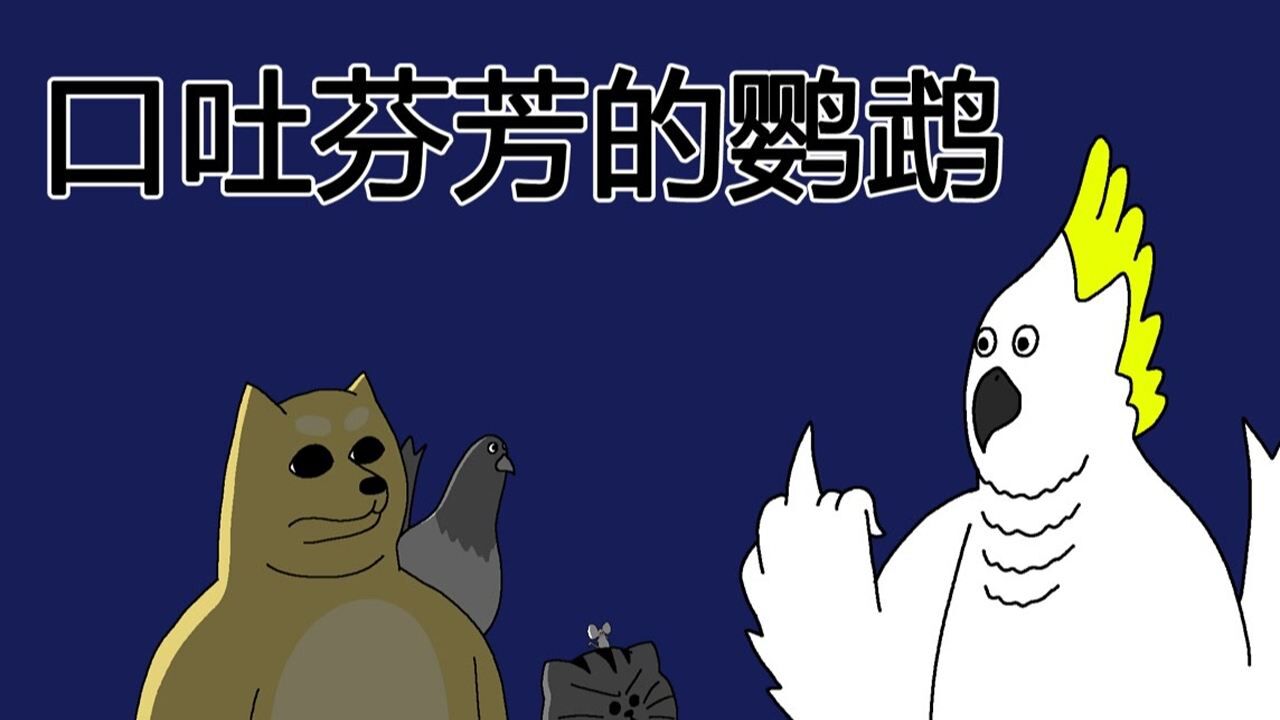 [禽兽朋友们] 口吐芬芳的鹦鹉_高清1080P在线观看平台_腾讯视频