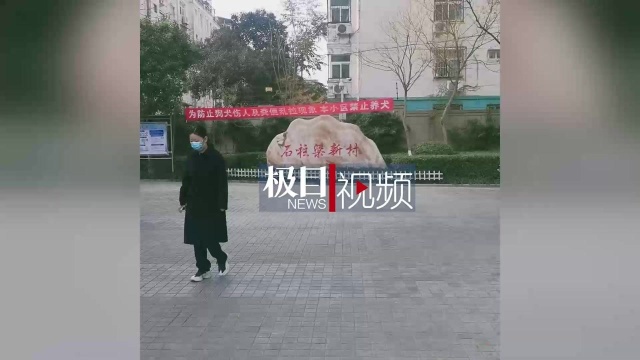 【视频】郑州一社区全面禁止养狗引质疑,居委会:不会强行开门捉狗