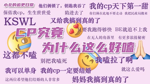 林黛玉与伏地魔也能在一起?我可以单身,我的cp一定要结婚!|小北的追更日常 05