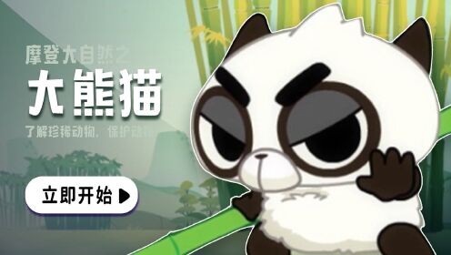 第一集-大熊猫_高清