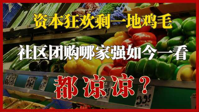 美团亏百亿,十荟团更惨,一场资本狂欢后,社区团购现在如何?