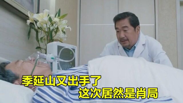 季廷山的计划即将完成,到底谁能阻止他,悬疑剧黑马也平凡 