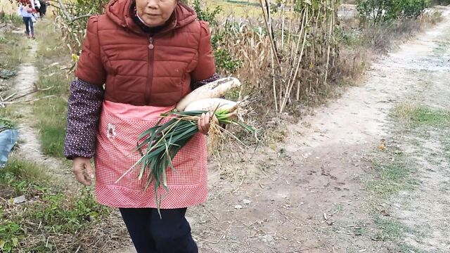 韶关仁化巴寨,原始农家乐,好食材随便做都好吃