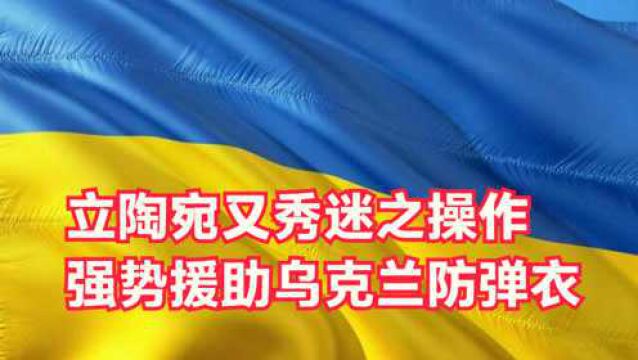 立陶宛又秀迷之操作,强势援助乌克兰,490件防弹衣杯水车薪