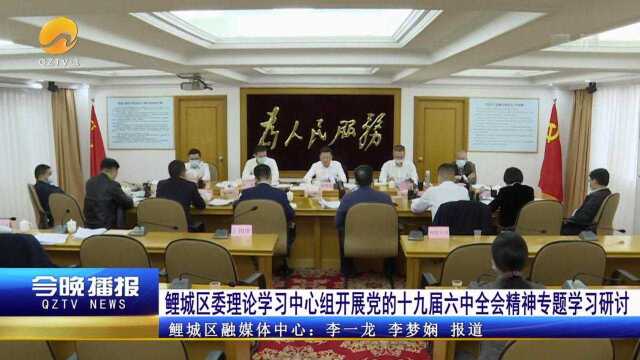 鲤城区委理论学习中心组开展党的十九届六中全会精神专题学习研讨