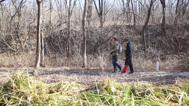 我和生物多样性的故事|张鹏:与儿子一起探索神奇的自然