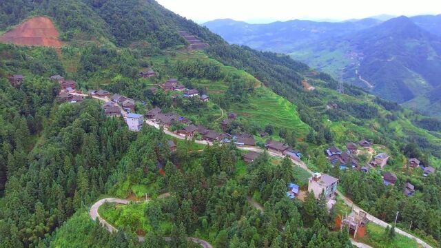 此山有一条长长的龙脉,这个村子刚好住在龙脉之上,真正的宝地呀