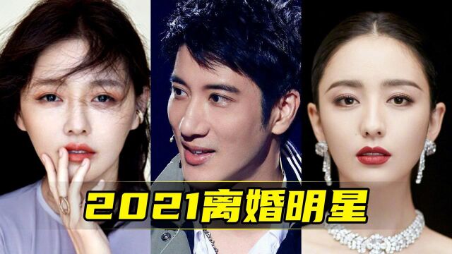 2021年10对离婚明星!王力宏、佟丽娅、赵丽颖、都离了!