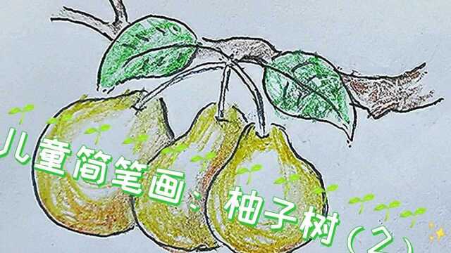 儿童简笔画:柚子树(2#校园搞笑 )