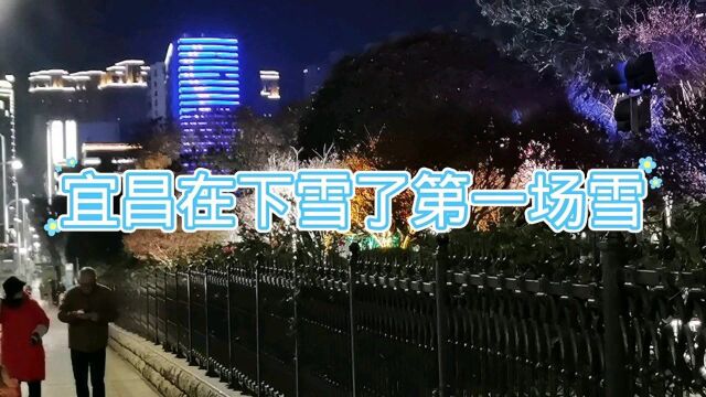 宜昌下雪了入冬第一场雪