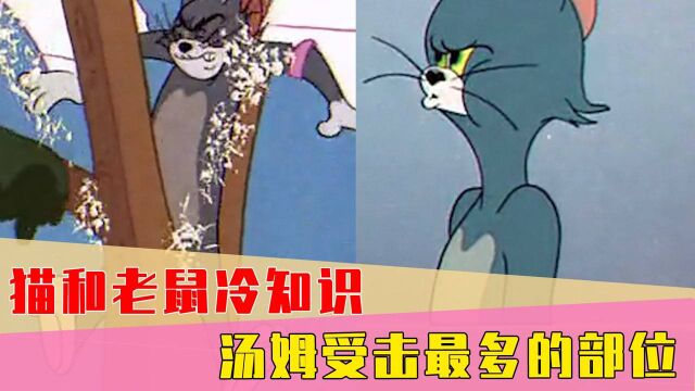 猫和老鼠冷知识!汤姆哪个部位,在动画中受击次数最多?