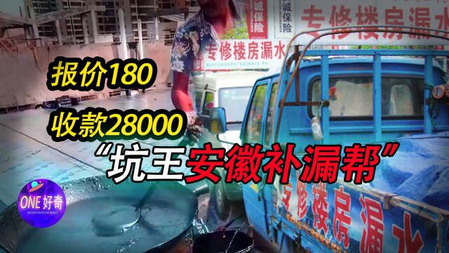 报价180收你两万八,神秘的安徽补漏帮,为啥这么牛逼?