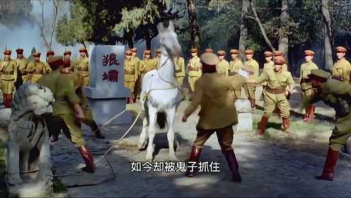 抗日烈马被鬼子俘虏，打的浑身血迹也不屈服，死也要做中国马