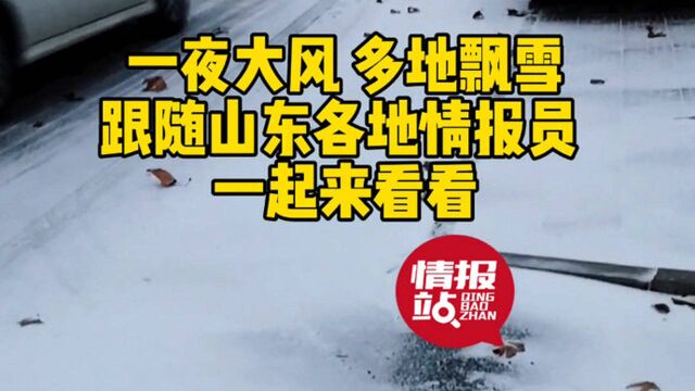 果然视频|浪漫的不像话!山东多地飘雪,跟壹点情报员一起来赏雪