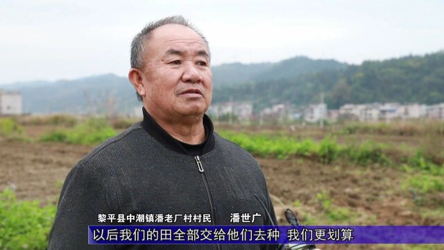 黎平:油菜种植正当时 社会化服务解民忧