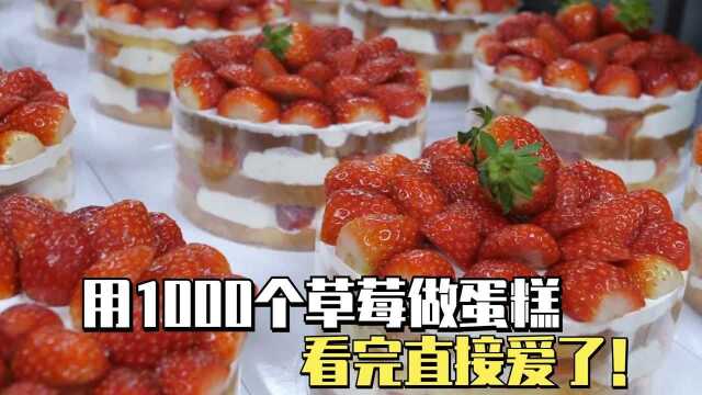 用1000个草莓做成蛋糕,而且只卖10块钱,看完直接爱了!