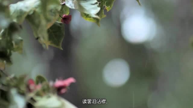 130《与诸子登岘山》孟浩然