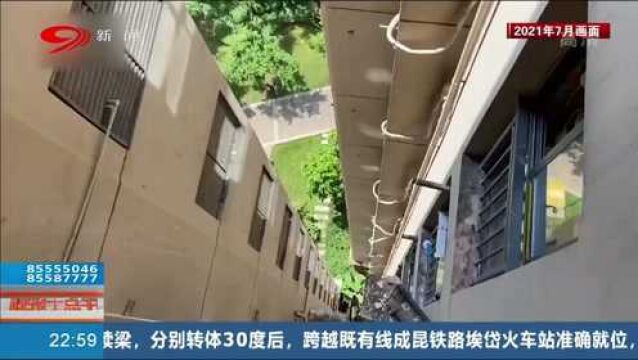 最新消息来了!关于重庆姐弟坠楼身亡案件,处罚来了