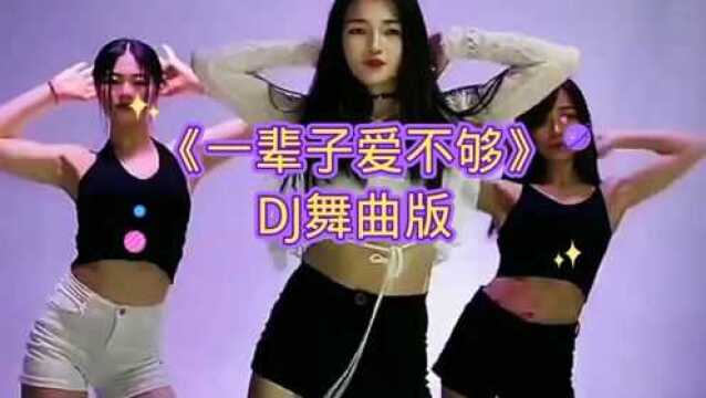 《一辈子爱不够》DJ舞曲版