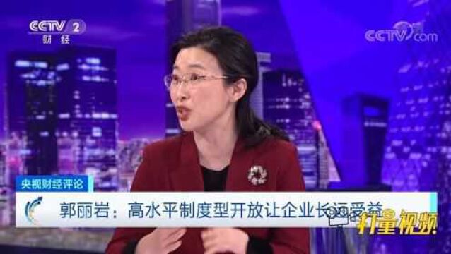 郭丽岩:高水平制度型开放让企业长远受益