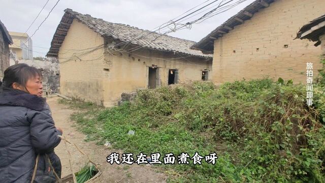 广西博白县旺茂大康村黄麻城古城墙,围城碉堡古炮楼群,客家围屋