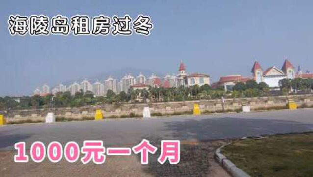 冬季在海陵岛租间房多少钱?价格太便宜,重庆大爷一住就是几个月