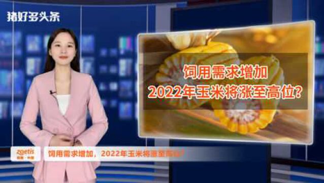 2022年玉米将涨至高位?分析师:有3大利好支撑及1个不确定