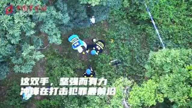 致敬警察节 | 英雄本色铸警魂,无悔担当保平安