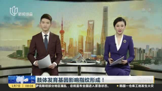 肢体发育基因影响指纹形成!