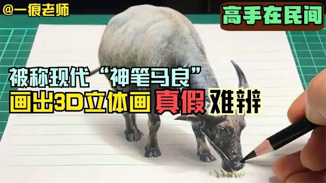 因3D立体画太过逼真,被称现代“神笔马良”,真是高手在民间,纪录片