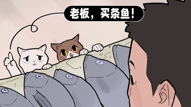 猫:老板,我这么可爱,可不可以买条鱼?