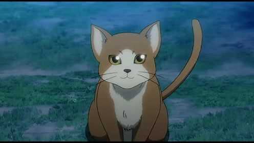 薄樱鬼京都番外篇  传下去，土方先生竟然可以和猫对话