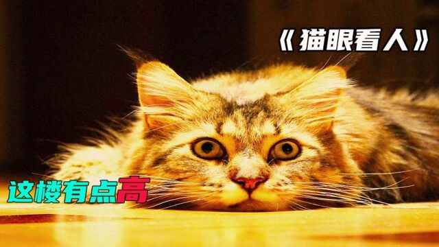 《猫眼看人》2恐高症的我,看着都怕