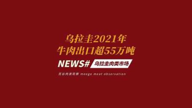 乌拉圭2021年牛肉出口超55万吨 我国买入一半以上