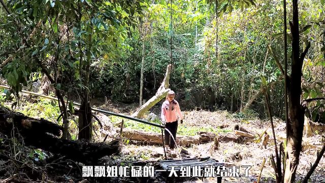 女子荒野建造房子,吃上美味的西餐,开垦土地过上原始生活(下)