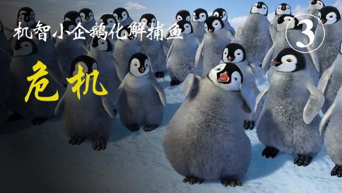 企鹅的常异举动，引发了人类关注，并意识到捕鱼船队企鹅族群的影响
