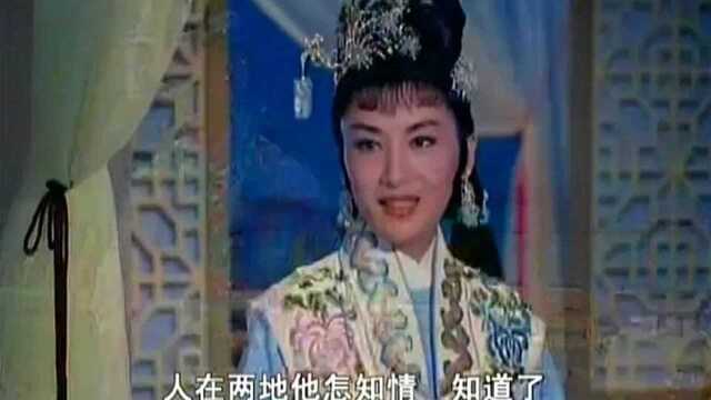 江南才子终成老虎妹夫