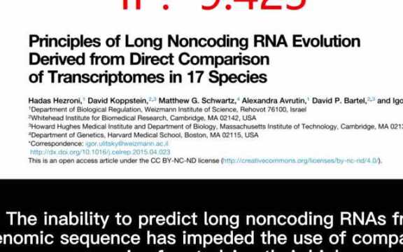 文献解读 | 17种动物长链非编码RNAs(lncRNAs)的进化研究