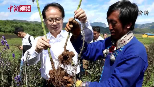 两会声音全国人大代表耿福能:中医药现代化发展要先讲“现代话”