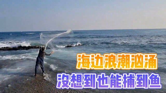 海边浪潮汹涌,没想到也能捕到鱼!