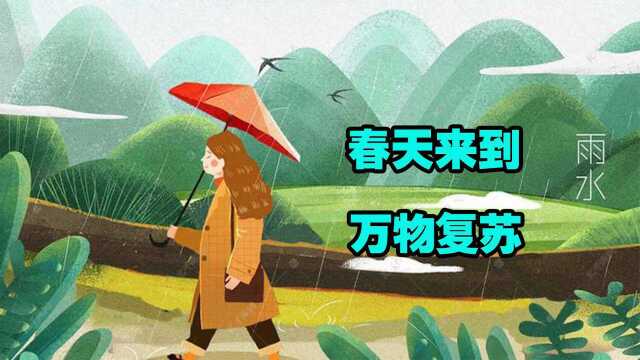 聆听雨滴掉落的声音,细赏水波溅起的温存,感受春雨带来的惬意